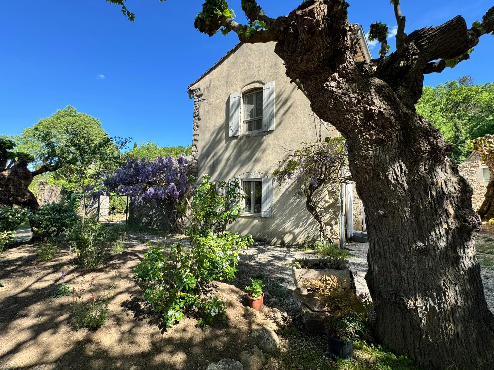 Mas Frigoulet — façade principale