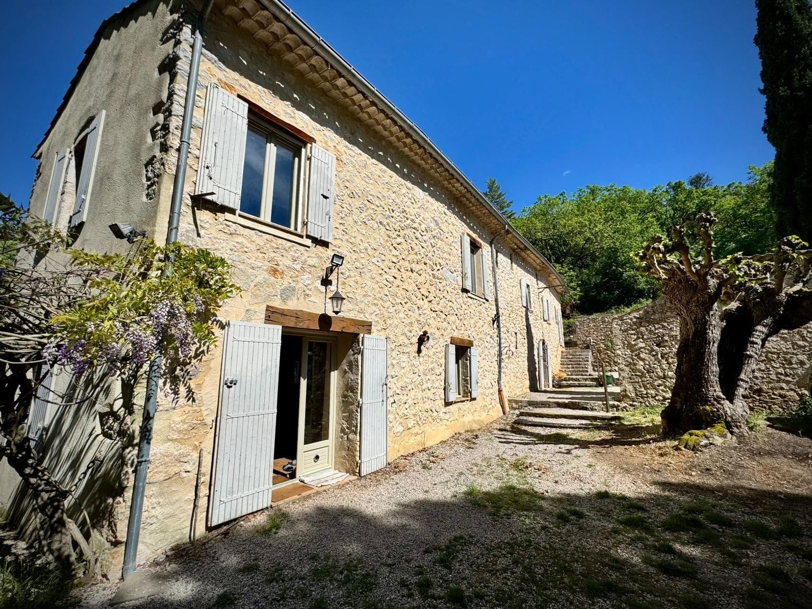 Façade avec glycine